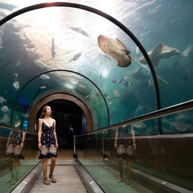 Phuket Aquarium, Phuket, Thailand, Pillingers Adventures